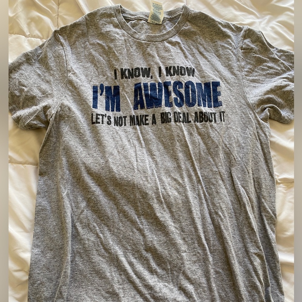 Gray, Funny Graphic Tee- I know, I know I'm awesome (Medium)